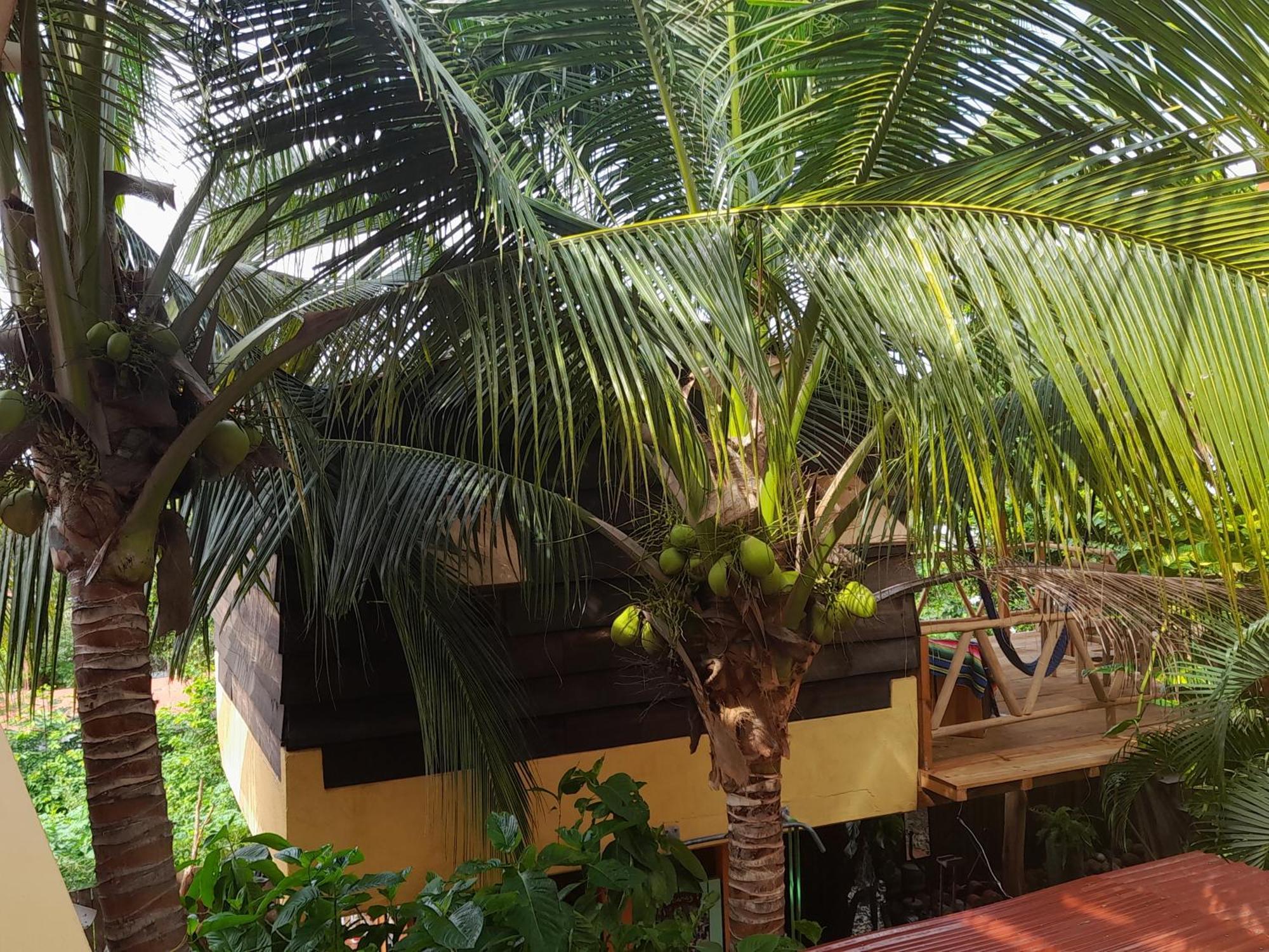 Vila Casa Gio Puerto Escondido  Exteriér fotografie